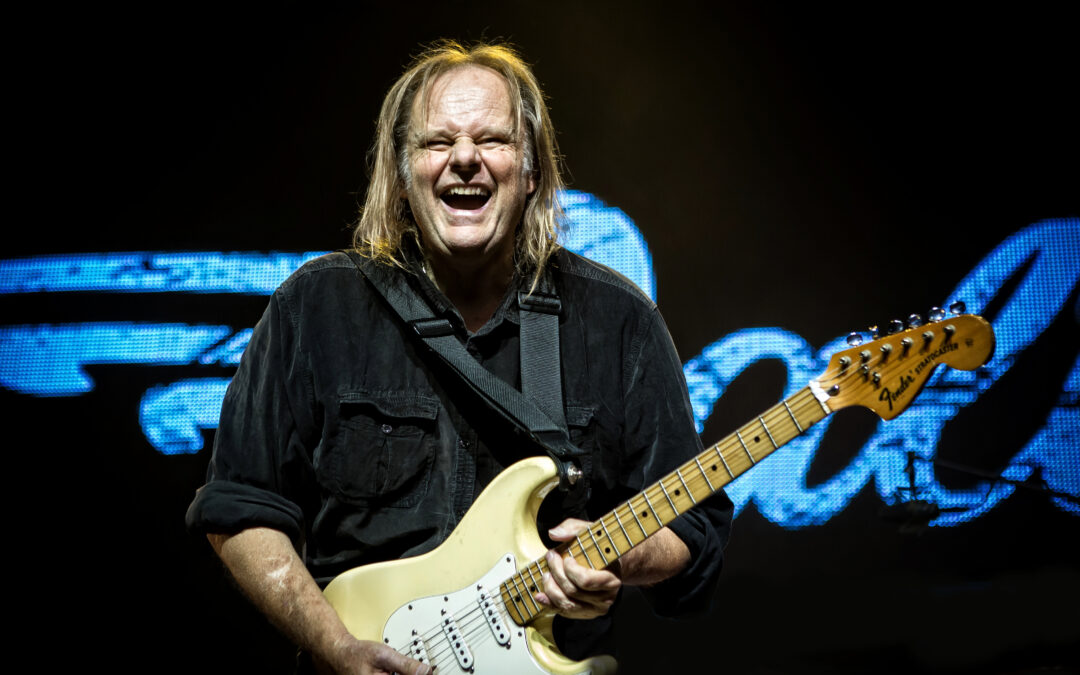 Walter Trout