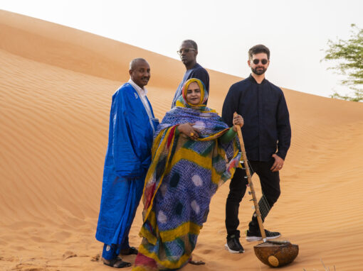 Noura Mint Seymali